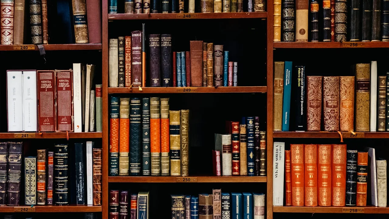 Activité de documentation et de médiation culturelle